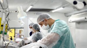 Mutirão castra 115 animais